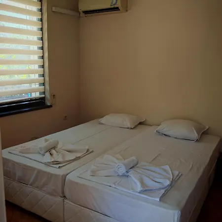 Marina Delfin - Location & Pet Friendly