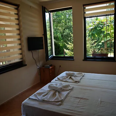 Marina Delfin - Location & Pet Friendly